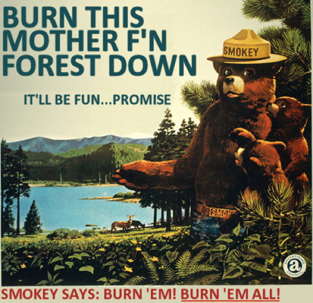 forestfires.jpg