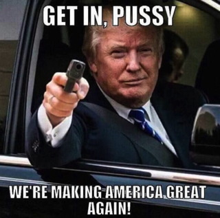 get-in-pussy-we-are-making-america-great-again-funny-donald-trump-meme-image.jpg