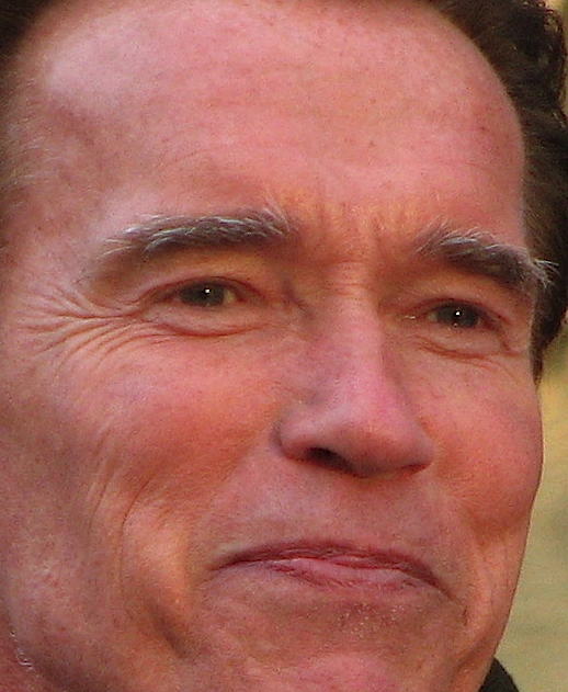 arnold schwarzenegger photos 2010. Arnold Schwarzenegger: In