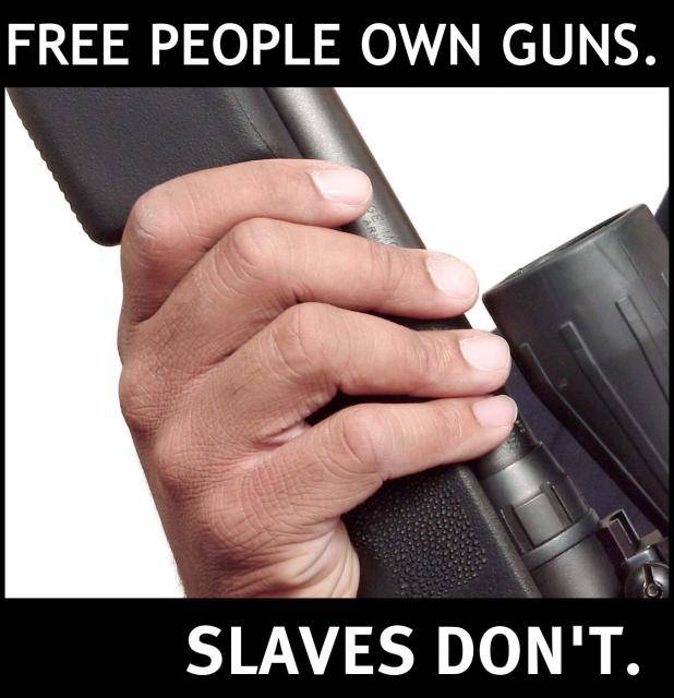 gun_rights_slaves.preview.jpg