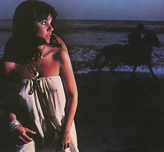 linda_ronstadt_-_hasten_down_the_wind.jpg