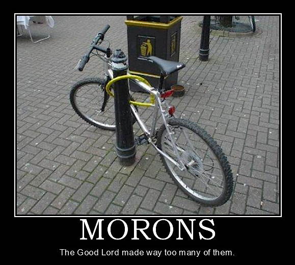 morons-demotivational-poster-1227797834.jpg