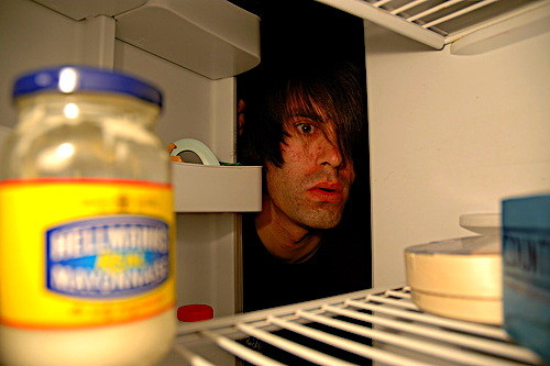 refrigeratorfreak.jpg