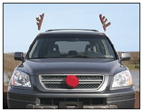 reindeercar.jpg