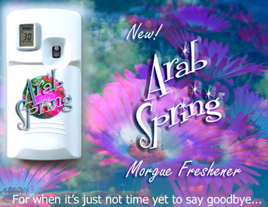 13196-ArabSpringAirFreshener.jpg