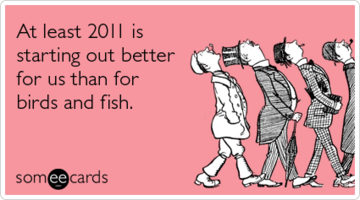 2011-starting-better-birds-fish-encouragement-ecards-someecards.png