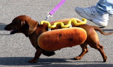Hot-Dog-Day-4.jpg