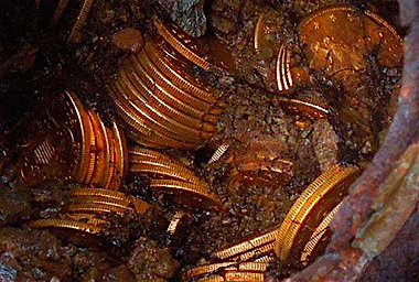 Saddle-Ridge-Hoard-of-coins-and-dirt.jpg