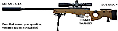 aa_sniper_rifle.jpg