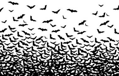 bat-swarming-family-nesting.jpg