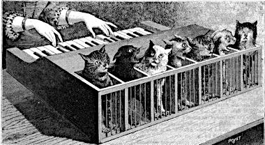 cat-organ-la-nature-1883-poyet-e1360628810292.jpg