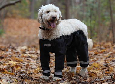 dog-pants-muddy-mutts-dog-apparel-13.jpg