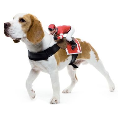 dog-riders-pet-costumes-4.jpg