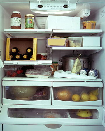 fridgeimage-22.jpg