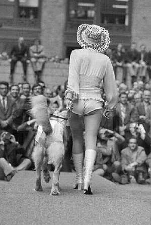 girl-hotpants-40-dogsitter-1971-usa.jpg