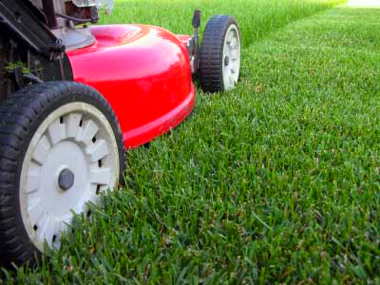 how-to-mow-your-lawn-1.jpg
