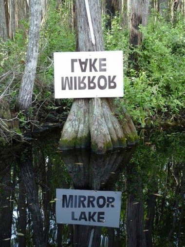 mirrorolake.jpg