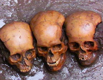 skulls-found-under-sacrifice-stone.jpg