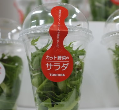 toshiba-salad-package.jpg