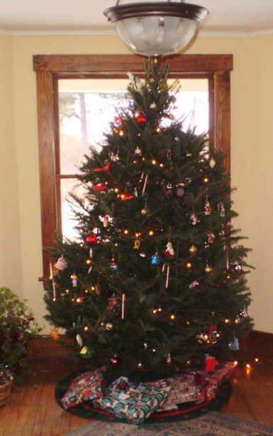 where_the_christmas_tree_goes.jpg
