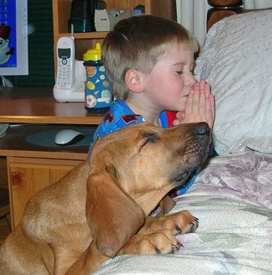 prayerwithpooch.jpg