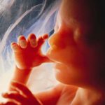Abortion in America: A Personal Journey