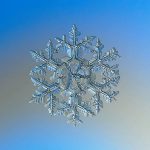Snowflake_macro_photography_1