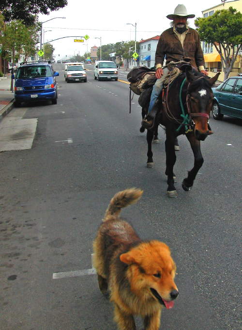 horsemananddog.jpg