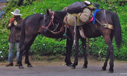horsemansmoke.jpg