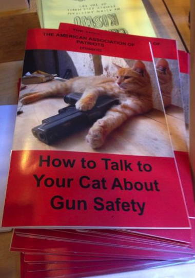 catgunsafety